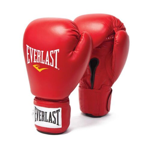 Everlast Boxing Gloves
